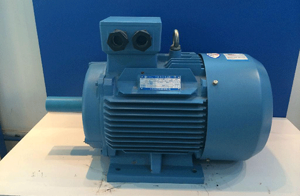 電動機的正確使用保養(yǎng)方法——西安泰富西瑪電機（西安西瑪電機集團股份有限公司）官方網站